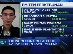 Ekonomi China Mulai Pulih, Saham Emiten Sawit Melesat Naik