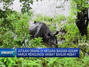 Jutaan Orang di Assam, India Mengungsi Akibat Banjir