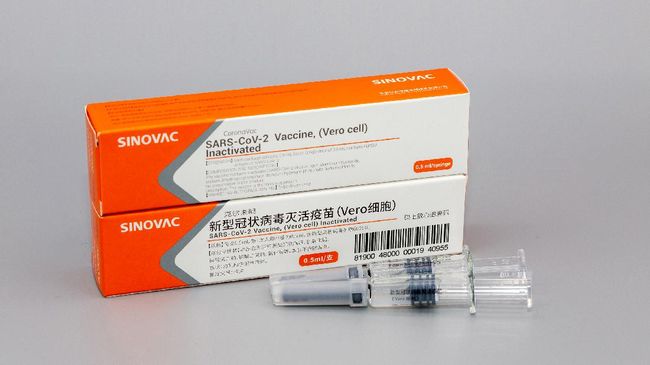 Top!  Sinovac Vaccine Successfully Produces Antibodies in the Elderly