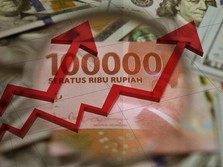 Hai Sobat Cuan, Ada Sinyal dari Pak Erick Thohir Buat Pasar