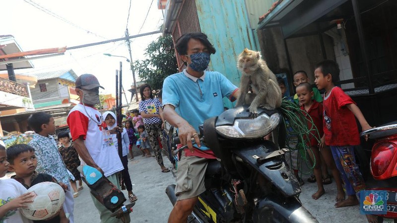Atraksi Topeng Monyet (CNBC Indonesia/Andrean Kristianto)