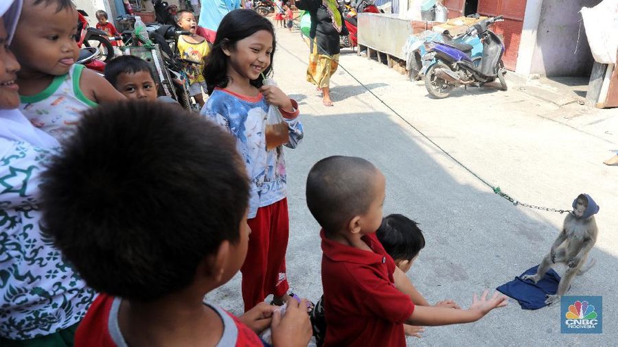 Atraksi Topeng Monyet (CNBC Indonesia/Andrean Kristianto)