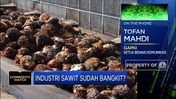 Harga CPO Melejit, Gapki:Prospek Industri Sawit Masih Positif