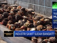 Harga CPO Melejit, Gapki:Prospek Industri Sawit Masih Positif