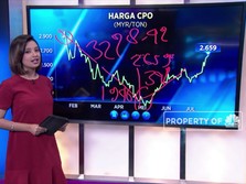Harga Sawit Melejit