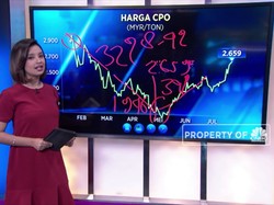 Harga Sawit Melejit