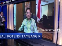 Simak Bukti Resistensi Tambang Freeport Saat Pandemi Covid-19