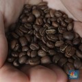 Saingi Emas, Trading Kopi Bisa Cuan Lebih Gede