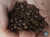 Saingi Emas, Trading Kopi Bisa Cuan Lebih Gede