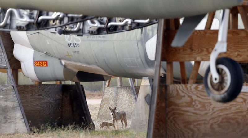 Lockheed C-5 Galaxy cargo jets are stored, as shown with this fisheye lens photograph, at the 309th Aerospace Maintenance and Regeneration Group boneyard Thursday, May 14, 2015 at Davis-Monthan Air Force Base in Tucson, Ariz. The C-5A Galaxy the largest aircraft in the U.S. armed services. (File Photo/AP Photo/Matt York)