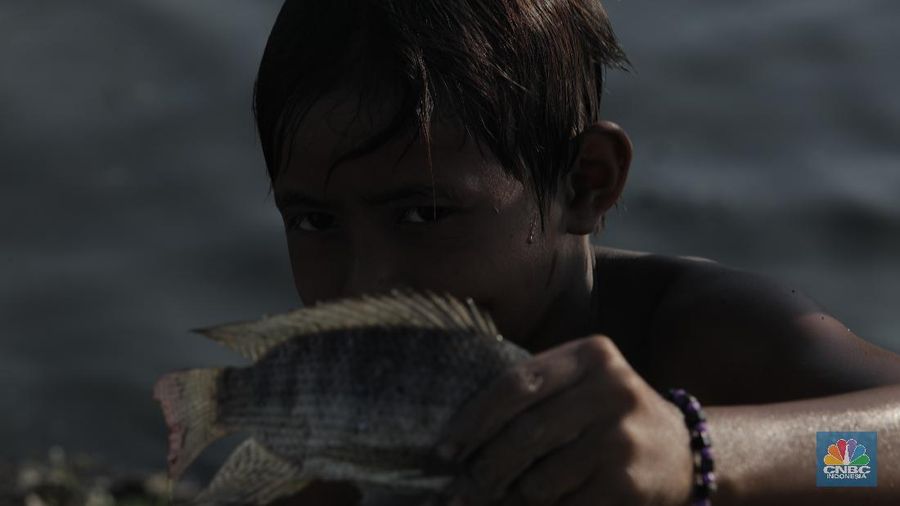 Sejumlah warga mencari ikan di (TPU) Semper, Semper Timur, Cilincing, Jakarta Utara, Senin (27/7/20). Sisa genangan air tersebut masih merendam sebagian makam. (CNBC Indonesia/Tri Susilo) 

Genangan air setinggi 10 hingga 30 centimeter yang merendam Tempat Pemakaman Umum (TPU) Semper, bak seperti danau. Kondisi pemakaman yang sering terkena banjir itu pun disulap warga menjadi tempat mencari ikan.

Syaiful Bahri (36), petugas makam sejak 1991 itu menyampaikan, banyak warga yang datang TPU Semper untuk mencari ikan ketika makam tersebut digenangi air. Syaiful juga menyampaikan, beragam jenis ikan seperti lele, mujair dan gabus sering didapat warga kala memancing di pemakamaan tersebut.


