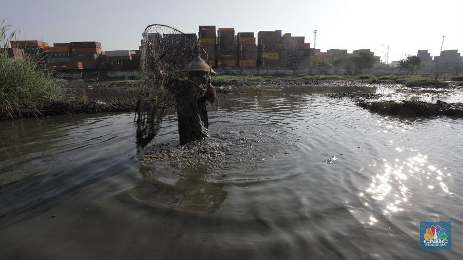Sejumlah warga mencari ikan di (TPU) Semper, Semper Timur, Cilincing, Jakarta Utara, Senin (27/7/20). Sisa genangan air tersebut masih merendam sebagian makam. (CNBC Indonesia/Tri Susilo) 

Genangan air setinggi 10 hingga 30 centimeter yang merendam Tempat Pemakaman Umum (TPU) Semper, bak seperti danau. Kondisi pemakaman yang sering terkena banjir itu pun disulap warga menjadi tempat mencari ikan.

Syaiful Bahri (36), petugas makam sejak 1991 itu menyampaikan, banyak warga yang datang TPU Semper untuk mencari ikan ketika makam tersebut digenangi air. Syaiful juga menyampaikan, beragam jenis ikan seperti lele, mujair dan gabus sering didapat warga kala memancing di pemakamaan tersebut.

