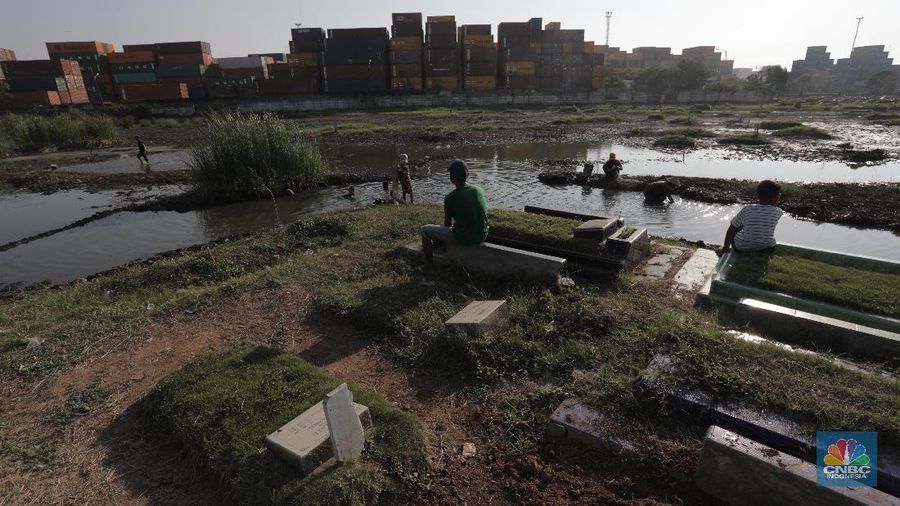Sejumlah warga mencari ikan di (TPU) Semper, Semper Timur, Cilincing, Jakarta Utara, Senin (27/7/20). Sisa genangan air tersebut masih merendam sebagian makam. (CNBC Indonesia/Tri Susilo) 

Genangan air setinggi 10 hingga 30 centimeter yang merendam Tempat Pemakaman Umum (TPU) Semper, bak seperti danau. Kondisi pemakaman yang sering terkena banjir itu pun disulap warga menjadi tempat mencari ikan.

Syaiful Bahri (36), petugas makam sejak 1991 itu menyampaikan, banyak warga yang datang TPU Semper untuk mencari ikan ketika makam tersebut digenangi air. Syaiful juga menyampaikan, beragam jenis ikan seperti lele, mujair dan gabus sering didapat warga kala memancing di pemakamaan tersebut.

