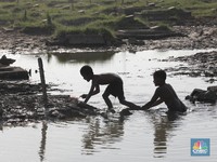 Ikan Favorit Warga RI yang Ternyata Menyerap Racun dalam Air