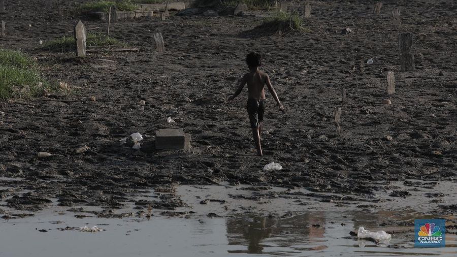 Sejumlah warga mencari ikan di (TPU) Semper, Semper Timur, Cilincing, Jakarta Utara, Senin (27/7/20). Sisa genangan air tersebut masih merendam sebagian makam. (CNBC Indonesia/Tri Susilo) 

Genangan air setinggi 10 hingga 30 centimeter yang merendam Tempat Pemakaman Umum (TPU) Semper, bak seperti danau. Kondisi pemakaman yang sering terkena banjir itu pun disulap warga menjadi tempat mencari ikan.

Syaiful Bahri (36), petugas makam sejak 1991 itu menyampaikan, banyak warga yang datang TPU Semper untuk mencari ikan ketika makam tersebut digenangi air. Syaiful juga menyampaikan, beragam jenis ikan seperti lele, mujair dan gabus sering didapat warga kala memancing di pemakamaan tersebut.

