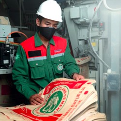 Semen Indonesia Bakal Genggam 75,51% Saham Semen Baturaja