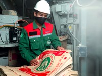 4 Bank Jumbo Guyur Semen Baturaja Rp 901,42 M