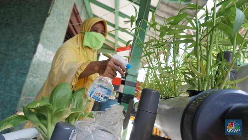 Warga mengenakan masker di Kawasan Kampung Rawa Pasung RW 022, Kelurahan Kota Baru, Kecamatan Bekasi Barat, Kota Bekasi, Jawa Barat, Selasa (28/7/2020).

Lokasi yang berbatasan dengan Jakarta Timur ini , kampung rawa pasung bekasi ini dikenal sebagai wilayah zona hijau sejak awal pandemi Maret lalu.

Beragam mural berisi pesan kepatuhan terhadap protokol kesehatan menghiasi gang sempit di kawasan hunian padat tersebut.

Warga sukarela memberikan paket sembako gratis bagi warga lain yang membutuhkan dan menyediakan ruang isolasi mandiri untuk yang terkena Covid-19.

Pak Soleh selaku ketua RW mengklaim bahwa kampung tersebut 0 positif Corona dan masuk zona hijau. 
