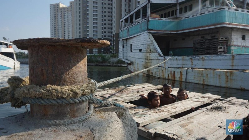 Sayup suara ombak menyusup hingga ke ruang-ruang sempit Kapal yang tengah bersandar di Pelabuhan Sunda Kelapa, Jakarta Utara, Rabu (29/7/2020) petang itu. Sejumlah anak dengan berani tengah asik melompat bergantian dari atas kapal, sambil berteriak.
Sunda Kelapa adalah nama pelabuhan yang berada di ujung utara Jakarta. Pelabuhan ini sudah ada sejak ratusan tahun lalu. Pada zaman kerajaan, Sunda Kelapa adalah pusat perdagangan. Kini, meski telah dimakan usia, pelabuhan ini masih tetap ramai.
Banyak orang mengais rezeki di Pelabuhan Sunda Kelapa. Ada pedagang, nelayan, Anak Buah Kapal (ABK), pemberi jasa sampan, hingga buruh angkut. Semua tumpah ruah menjadi satu. Namun bagi anak-anak sunda kelapa adalah tempat paling asik untuk bermain.

Pelabuhan Sunda Kelapa lambat laun tidak terlihat sesibuk saat masa jayanya. Kini, pelabuhan tersebut dikelola oleh PT Pelindo II dan tidak mengantongi sertifikasi International Ship and Port Security karena sifat pelayanan jasanya hanya untuk melayani kapal antar pulau di dalam negeri.

Dari sisi ekonomi pelabuhan ini masih cukup strategis, mengingat berdekatan dengan pusat-pusat perdagangan di Jakarta seperti Glodok, Pasar Pagi, Mangga Dua, dan lain-lainnya. Menjadi buruh kuli angkut mungkin bukan hal yang dicita-citakn oleh banyak orang. Namun ketika tidak ada lagi keahlian yang bisa ditawarkan selain tenaga kasar maka menjadi buruh kasar sebagai kuli angkut pun harus dijalani.

Setidaknya ini yang tertangkap saat melihat potret para kuli angkut di Pelabuhan Sunda Kelapa Jakarta Utara. Dalam sehari para pekerja kuli angkut ini mampu membongkar muatan dengan berat total 300ton. Beban sebesar ini dikerjakan oleh 20an orang pekerja.  (CNBC Indonesia/ Muhammad Sabki)