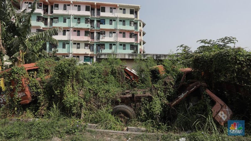 Kendaraan armada tua menumpuk dibelakang rusun Cengkareng, Jakarta Barat, Rabu (29/7/20). (CNBC Indonesia/Tri Susilo) 

Lahan rusun belakang Cengkareng, Jakarta Barat menjadi tempat penampungan kendaraan pengangkut sampah tua yang tak lagi dipakai.

Berdasarkan pantauan CNBC Indonesia pada Rabu (29/7/20), belakang halaman rusun tersebut dipenuhi truk sampah yang terlihat tua. Beberapa bagiannya berkarat dan keropos. Truk sampah itu ditumpuk begitu saja.

Dulunya mobil-mobil tak terpakai tersebut diletakkan berbaris di halaman belakang rusun Cengkareng Hingga akhirnya, pihak Sudin Lingkungan Hidup Jakarta Barat bersiasat untuk meletakkannya secara bertumpuk.   

Ada kurang lebih 30 kendaraan kendaraan yang terparkir di halaman rusun tersebut . Ada pula mobil tangki air yang diparkir di atas tumpukan.   

Kondisi kendaraan-kendaraan tersebut berbeda-beda. Ada yang sudah tak memiliki ban, kaca pecah, bodi penyok, jok mobil reyot dan lainnya.  

Dilokasi pemumpukan kendaraan dimanfaatkan sebagian warga mencari rumput untuk pakan hewan mereka.

Kondisi ini dimanfaatkan anak anak yang tidur didalam tumpukan kendaraan.

 kendaraan tersebut sudah tidak layak pakai. Kendaraan itu ada sejak 1997 dan kini rusak. (CNBC Indonesia/ Tri Susilo)