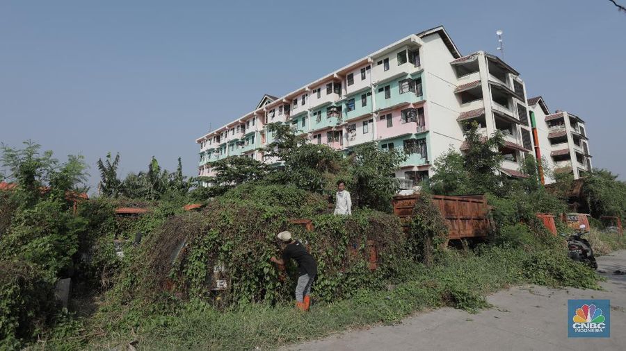 Kendaraan armada tua menumpuk dibelakang rusun Cengkareng, Jakarta Barat, Rabu (29/7/20). (CNBC Indonesia/Tri Susilo) 

Lahan rusun belakang Cengkareng, Jakarta Barat menjadi tempat penampungan kendaraan pengangkut sampah tua yang tak lagi dipakai.

Berdasarkan pantauan CNBC Indonesia pada Rabu (29/7/20), belakang halaman rusun tersebut dipenuhi truk sampah yang terlihat tua. Beberapa bagiannya berkarat dan keropos. Truk sampah itu ditumpuk begitu saja.

Dulunya mobil-mobil tak terpakai tersebut diletakkan berbaris di halaman belakang rusun Cengkareng Hingga akhirnya, pihak Sudin Lingkungan Hidup Jakarta Barat bersiasat untuk meletakkannya secara bertumpuk.   

Ada kurang lebih 30 kendaraan kendaraan yang terparkir di halaman rusun tersebut . Ada pula mobil tangki air yang diparkir di atas tumpukan.   

Kondisi kendaraan-kendaraan tersebut berbeda-beda. Ada yang sudah tak memiliki ban, kaca pecah, bodi penyok, jok mobil reyot dan lainnya.  

Dilokasi pemumpukan kendaraan dimanfaatkan sebagian warga mencari rumput untuk pakan hewan mereka.

Kondisi ini dimanfaatkan anak anak yang tidur didalam tumpukan kendaraan.

 kendaraan tersebut sudah tidak layak pakai. Kendaraan itu ada sejak 1997 dan kini rusak. (CNBC Indonesia/ Tri Susilo)