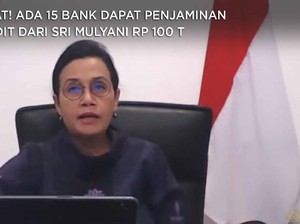 Catat! Ada 15 Bank Dapat Penjaminan Kredit dari Sri Mulyani