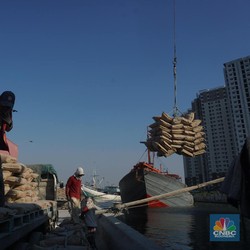 Indocement (INTP) Bagi-Bagi Dividen Rp548,97 Miliar