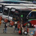 Miris! Bisnis Bus Pariwisata Sudah Mendekati Kematian
