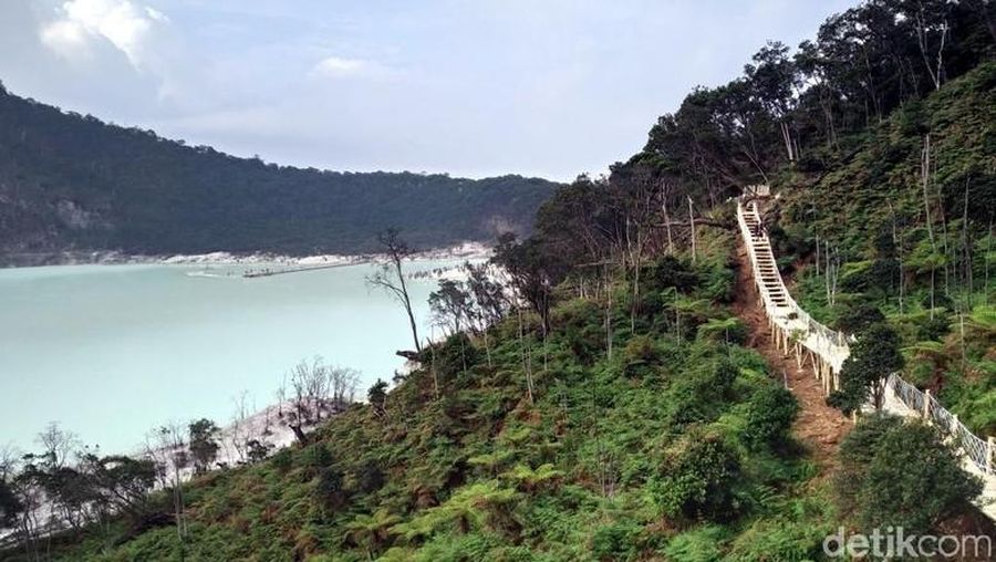Skywalk Cantigi di Kawah Putih (Wisma Putra/detikcom)