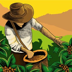 Top! Kopi RI Terus Merambah Pasar Dunia, Ini Buktinya