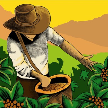 Termasuk dari Indonesia, Ini Deretan Kopi Termahal Dunia