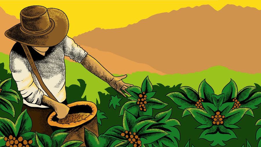 Infografis/ 10 kopi Termahal di dunia, salah satunya ada di Indonesia/ Aristya Rahadian
