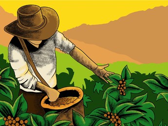 Termasuk dari Indonesia, Ini Deretan Kopi Termahal Dunia