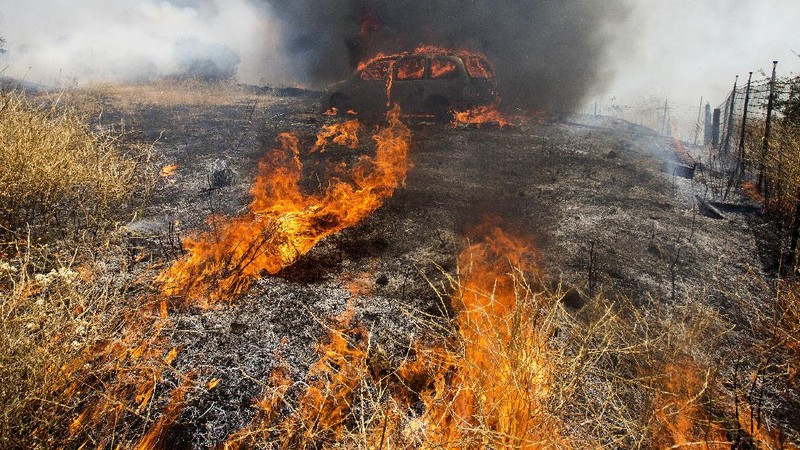 Kebakaran hutan di California, Amerika Serikat. (AP/Ringo H.W. Chiu)