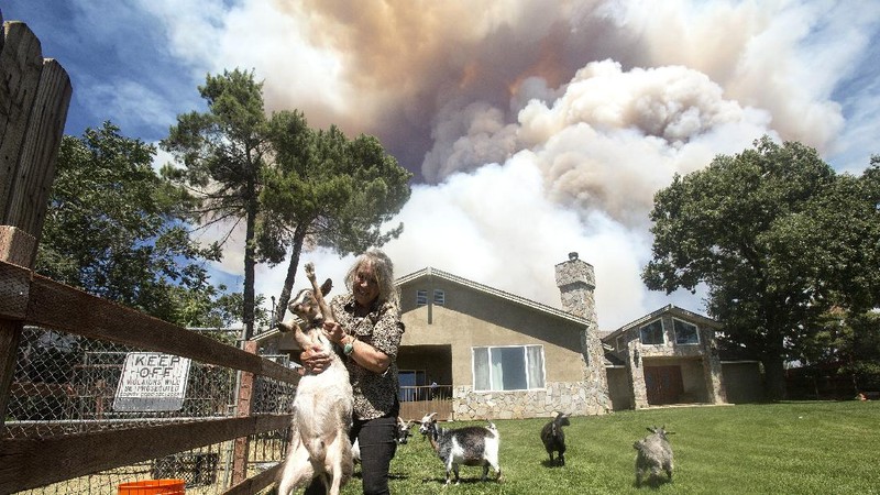 Kebakaran hutan di California, Amerika Serikat. (AP/Ringo H.W. Chiu)