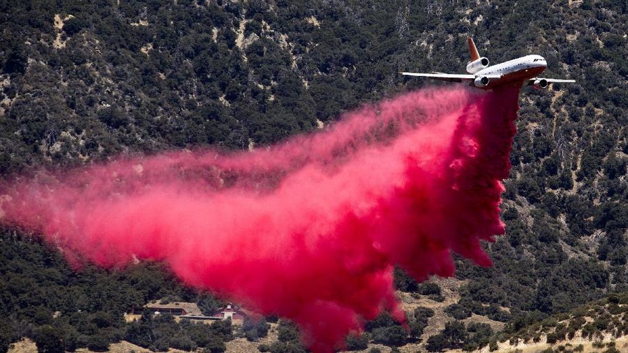 Kebakaran hutan di California, Amerika Serikat. (AP/Ringo H.W. Chiu)