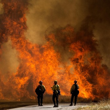 Kebakaran Hutan AS, 7.800 Warga California Dievakuasi