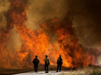 Kebakaran Hutan AS, 7.800 Warga California Dievakuasi