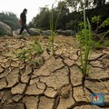 Lonceng Bahaya, 870.000 Ha Lahan Pertanian Bisa Kena Getahnya