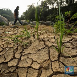 PBB Warning RI Dalam Bahaya, Tanda Kiamat Makin Nyata
