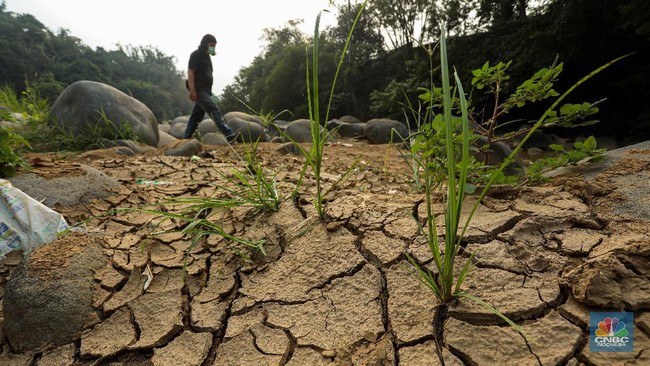 Petaka Godzilla El Nino Ancam Wilayah RI, Pakar UGM Beri Peringatan