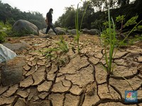 PBB Warning RI Dalam Bahaya, Tanda Kiamat Makin Nyata