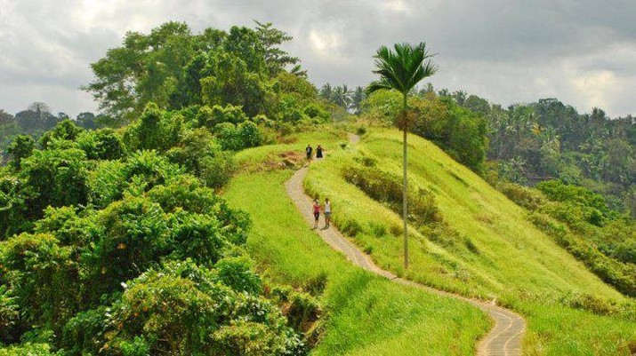 Campuhan Ridge Walk, Ubud, Bali. Ist