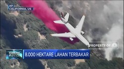 8.000 Hektare Lahan Terbakar di California