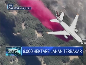 8.000 Hektare Lahan Terbakar di California