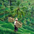 Covid Meledak Di Sana-Sini, RI Malah Buka Pintu Turis Asing