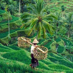 Covid Meledak Di Sana-Sini, RI Malah Buka Pintu Turis Asing