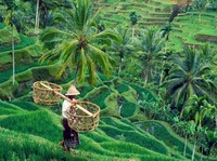 Covid Meledak Di Sana-Sini, RI Malah Buka Pintu Turis Asing
