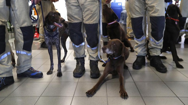 Anggota tim SAR Ceko beserta anjing pelacak berjalan menaiki pesawat di bandara Vaclav Havel di Praha, Rabu (5/8/2020). Republik Ceko mengirimkan sekitar 37 personel dan lima ekor anjing pelacak untuk membantu pencarian korban ledakan dahsyat di Beirut, Lebanon. (AP Photo/Petr David Josek)