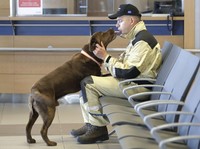 Ceko Kirim Bantuan Anjing Pelacak ke Lebanon